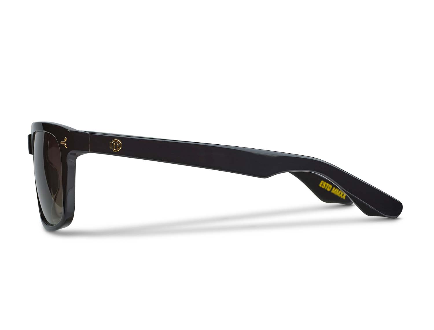 Ari Sunglasses - Black
